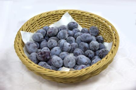 Oddaja Dobro jutro v Občini Hrpelje-Kozina 29